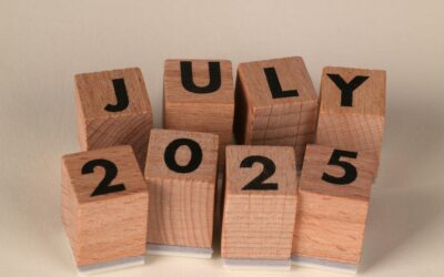 Newsletter Julio 2025
